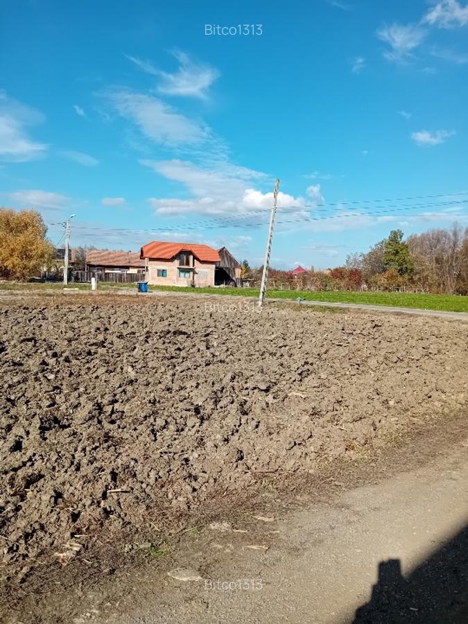 1853 m2 la 14 km de Brasov in Lunca Calnicului - 3