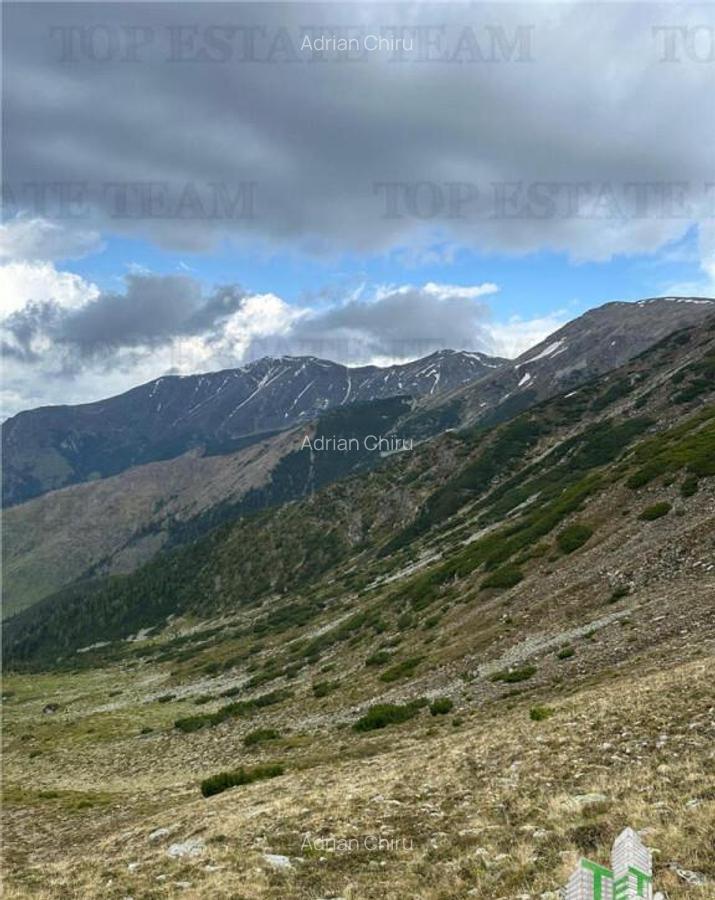 SUPER OPORTUNITATE, DE VANZARE O PROPRIETATE SPECIALA, MUNTE - 14