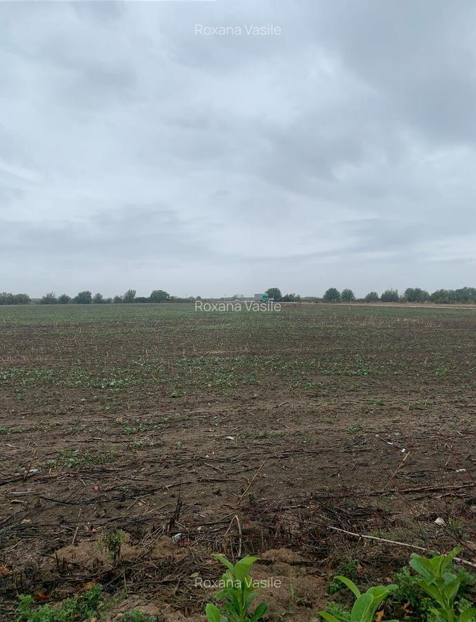 Vanzare Teren Intravilan Tunari - 2