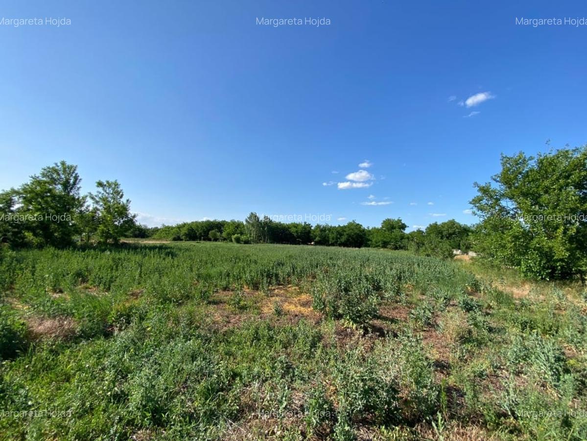 Casa de vacanta , 2 cam, teren 3.381 mp - 20