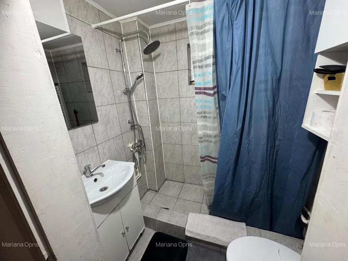 Casa individuala, Gura Raului, judetul Sibiu - 4