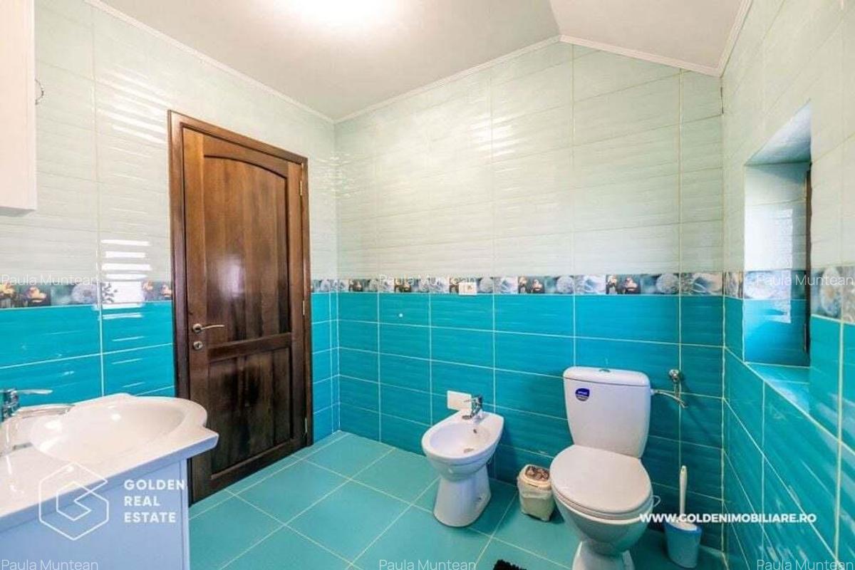 Vila de lux in localitatea Livada - 17