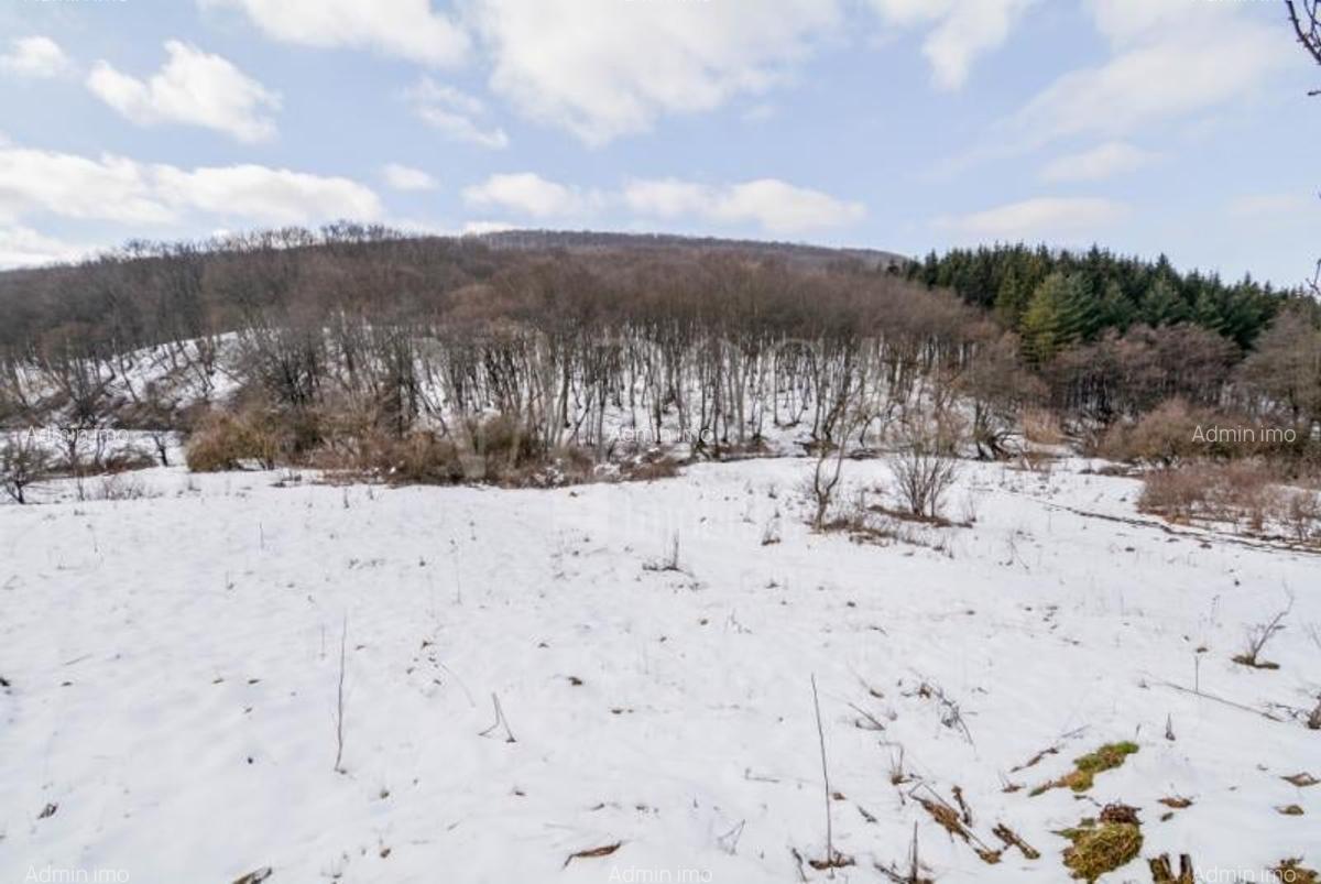 Teren intravilan pentru constructii de vanzare in Faget, Cluj Napoca - 5