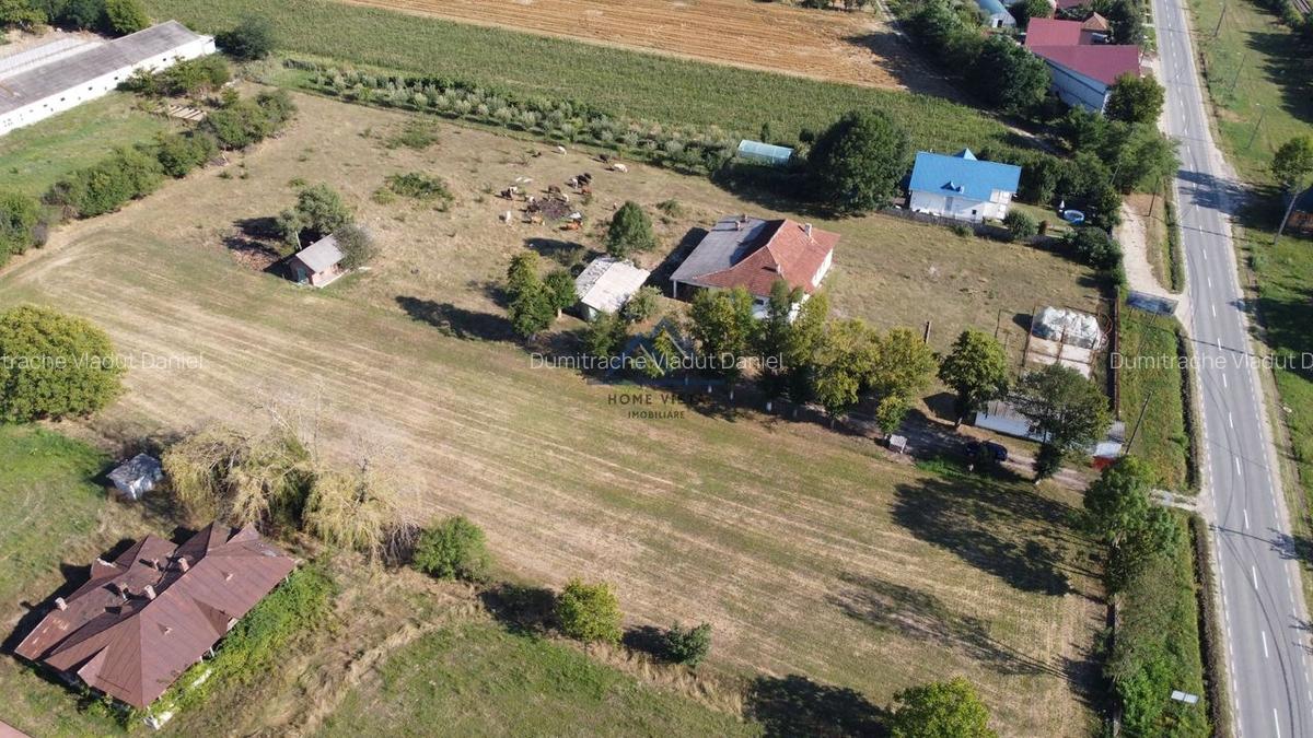Teren intravilan de 10 614 mp cu deschidere de 59 m - Baiculesti (Comision 0%) - 5