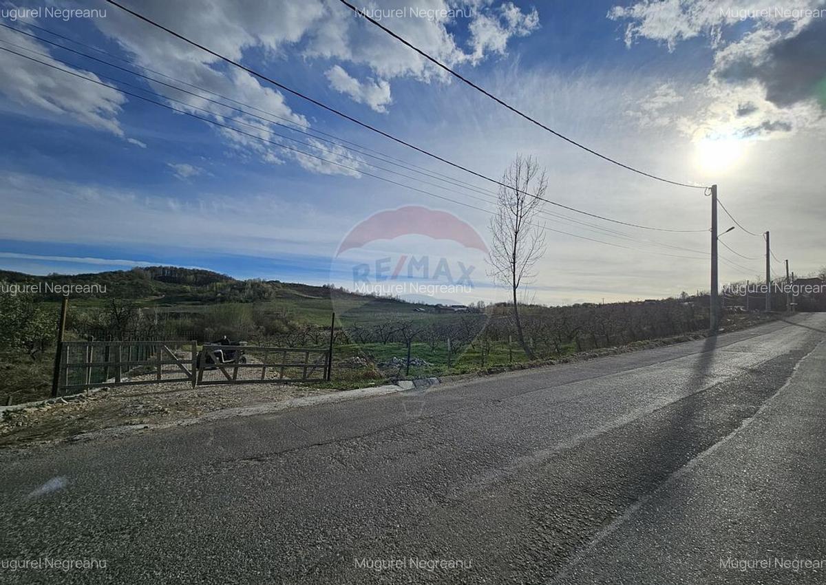 15 parcele de 1000 mp de vanzare in Breaza Prahova- toate... - 11 15 parcele de 1000 mp de vanzare in Breaza Prahova- toate... - 11