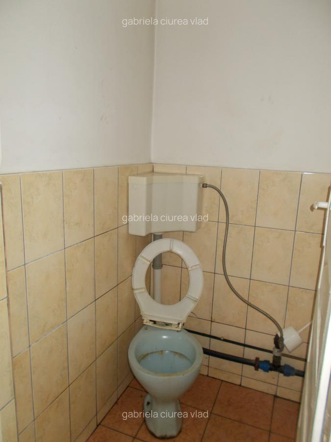 Inchiriez hala situata in Lazaret,200m,pretabila spalatorie,service - 10