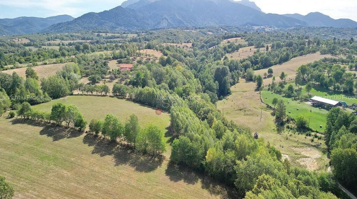 Teren intravilan, priveliste deosebita - 12