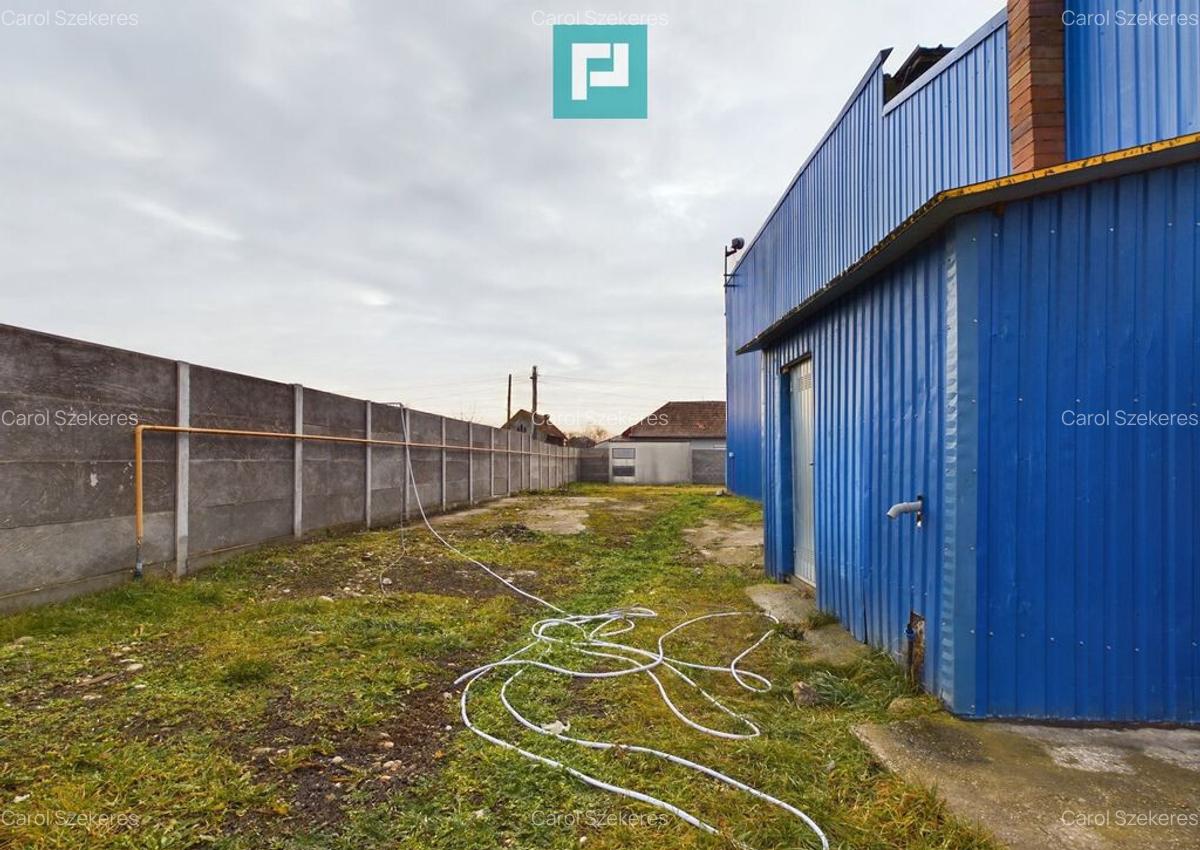 Depozit frigo de inchiriat in Sacalaz - 17