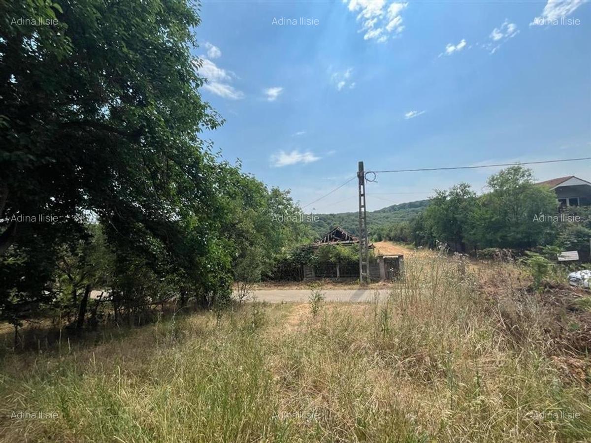 Teren Construcții intravilan de 992 mp, în Betfia - 1