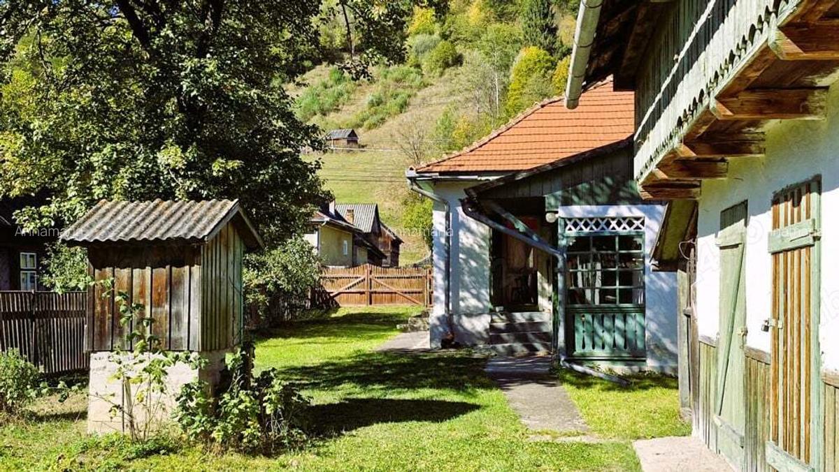 Casa cu teren 3000m2 intravilan - 4