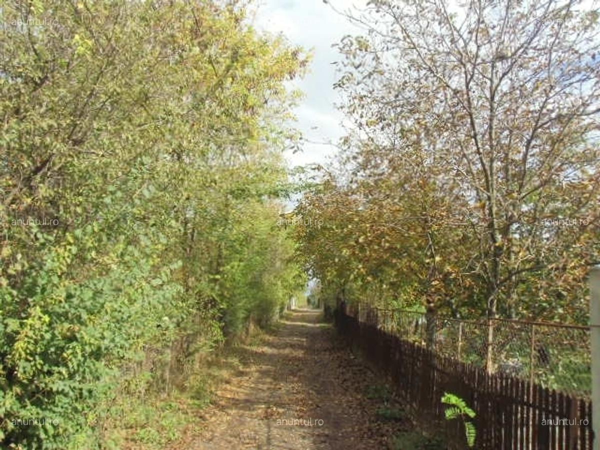 Mogosoaia, str. Ariei, nr. 2, particular - 7 Mogosoaia, str. Ariei, nr. 2, particular - 7