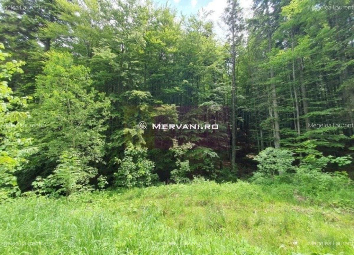 Teren intravilan de vanzare in Sinaia - Zona Furnica - 4