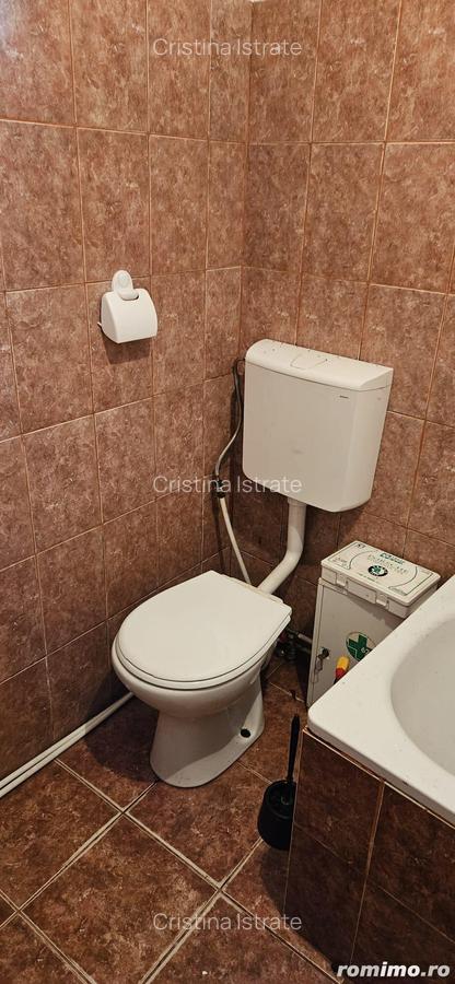 Sanmartinu Sarbesc- Casa individuala- 1370 mp teren - 16 Sanmartinu Sarbesc- Casa individuala- 1370 mp teren - 16