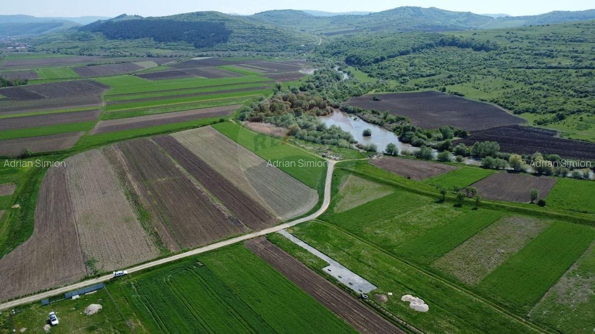 Teren de vanzare 8.700 mp in Livada comuna Iclod - 4