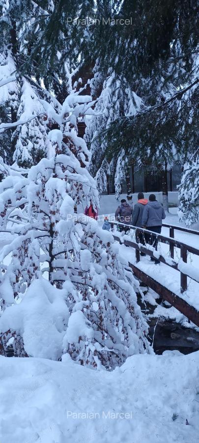 De vanzare cabana MIJA - Petrosani , Hunedoara - 5