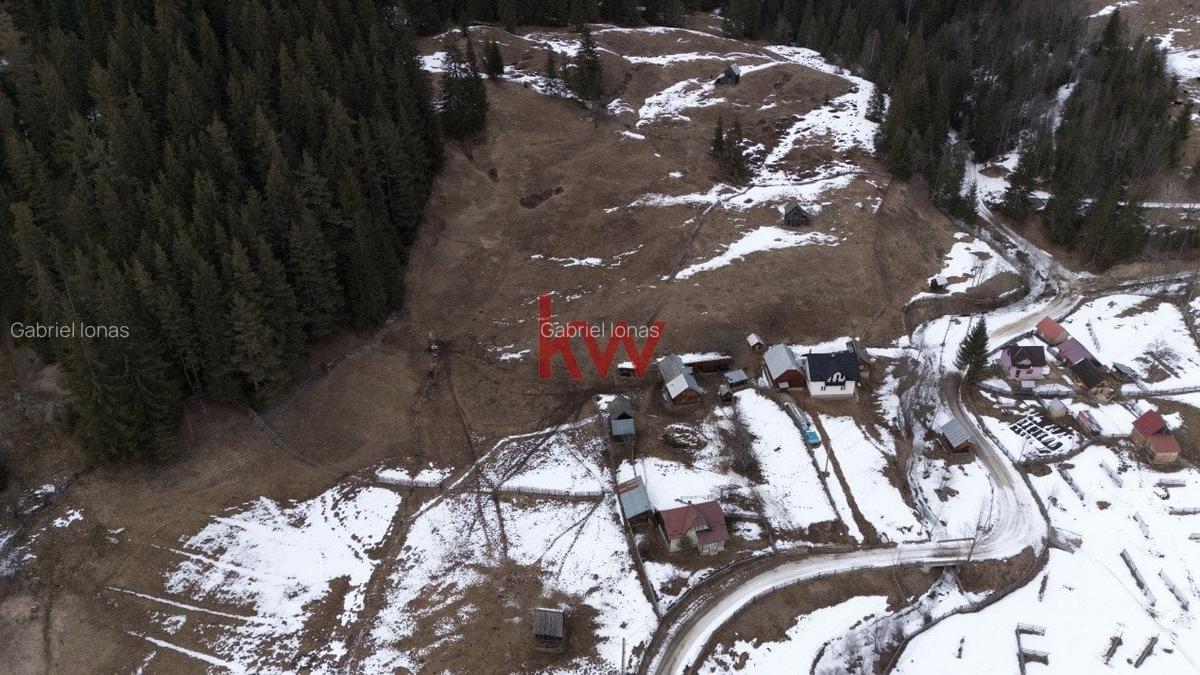 Teren Intravilan 11.844 MP, Breaza, Jud. Suceava - 4
