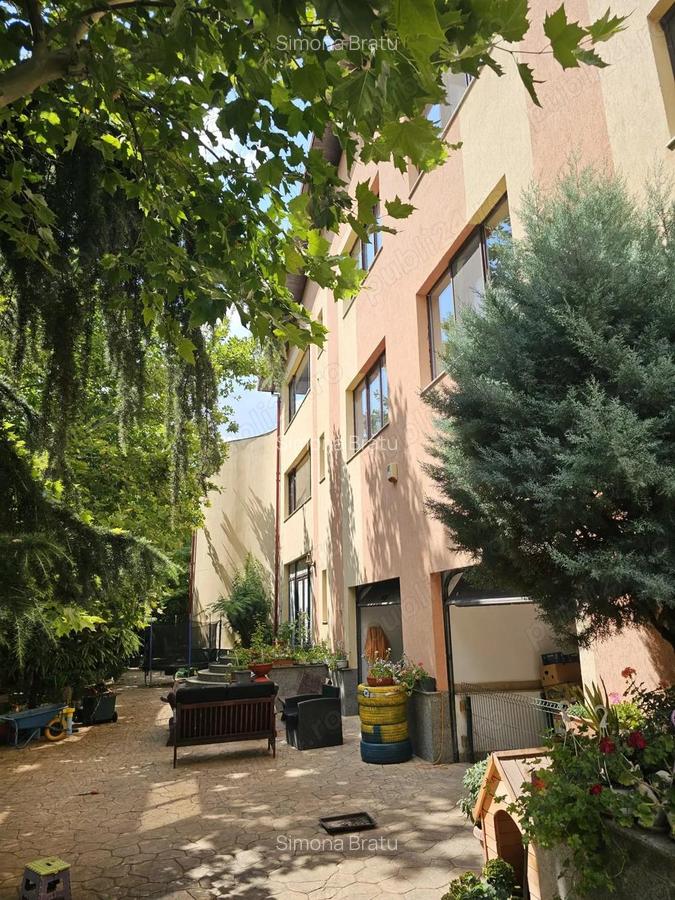 Vand vila in com Pantelimon - 9