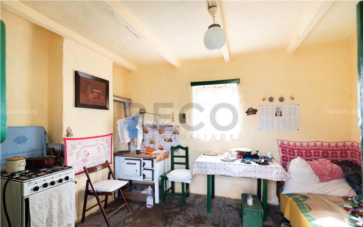 RECO Casa cu teren 3036mp, Bors - 9