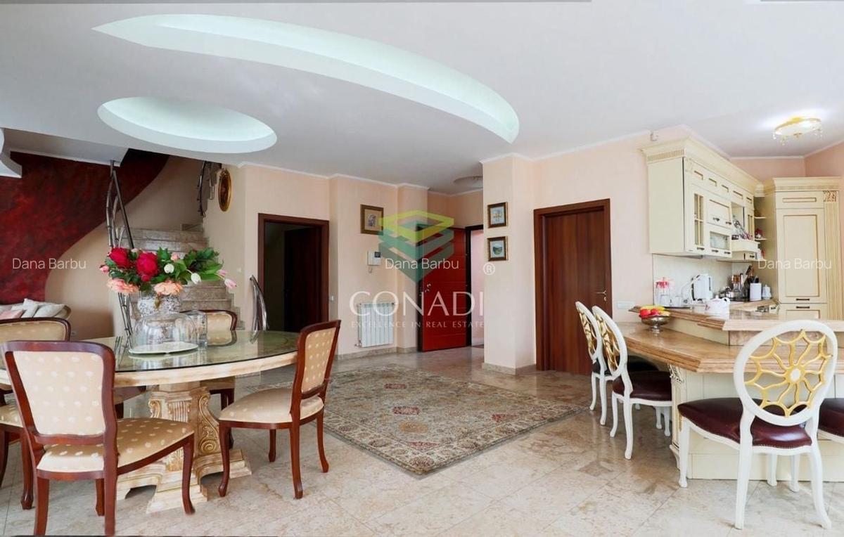 Iancu Nicolae, vila cu 5 camere de inchiriat, 291 mp utili - 5