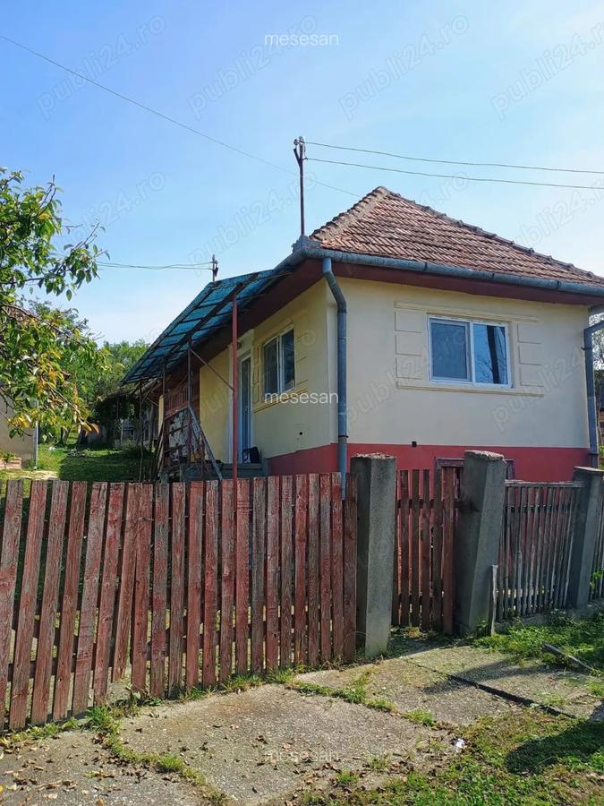 Casa + bucatarie de vara+gradina - 3