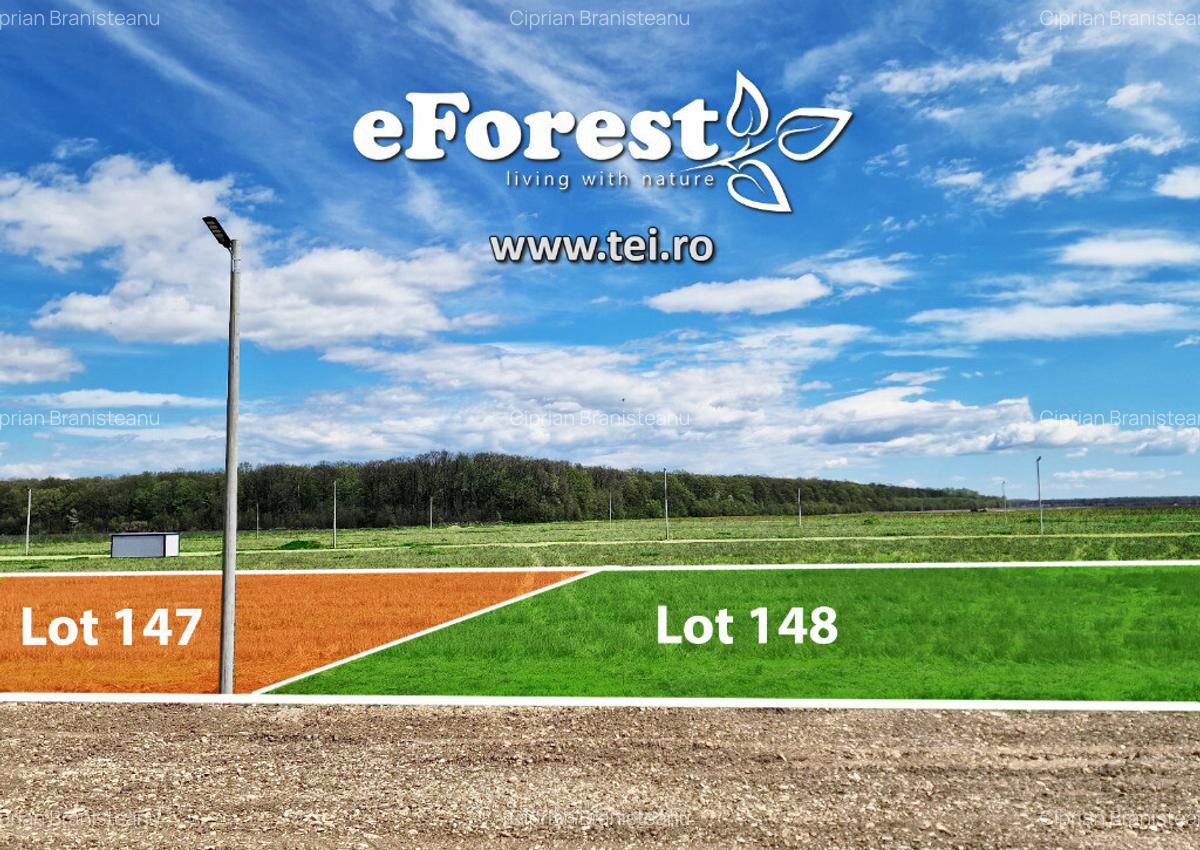 Loturi teren 720mp de vanzare, Crevedia, cel mai mic pret din zona! - 10