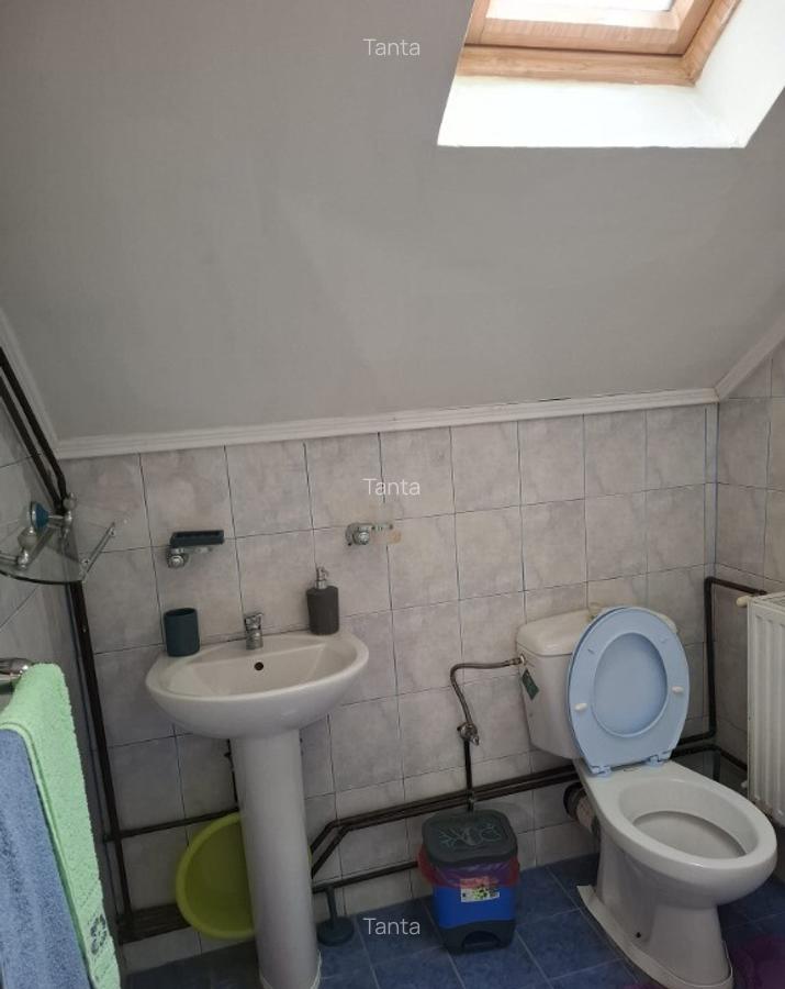 Casa spa?ioasa cu vedere panoramica, in Tekija Serbia (25km de VAMA) - 17