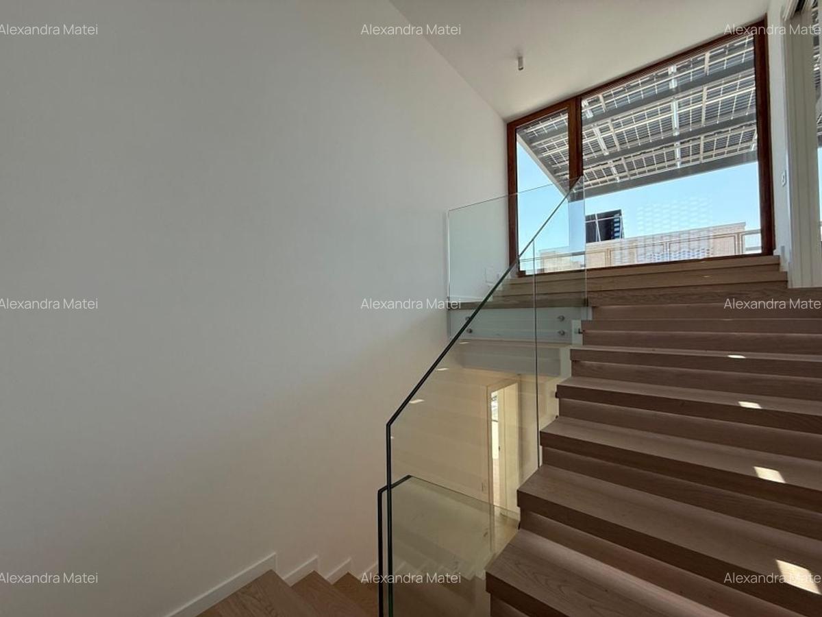 Vila individuala de inchiriat Erou Iancu Nicolae - 9