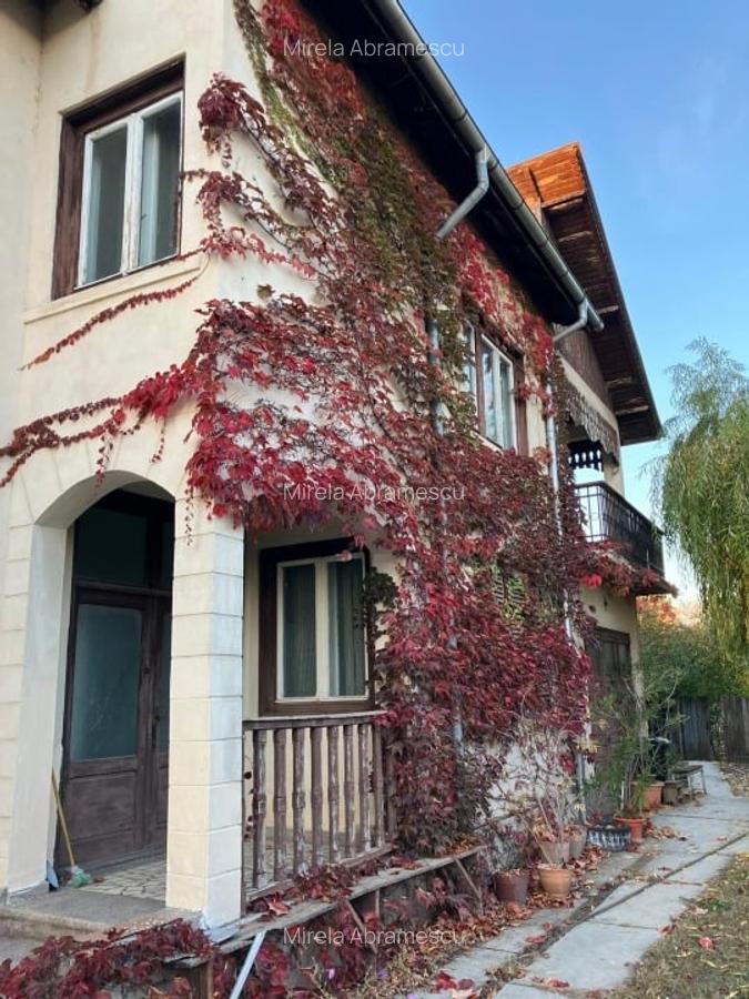 Proprietate completă în inima Dâmboviței – Casă, curte și livadă pe 1800 mp - 4