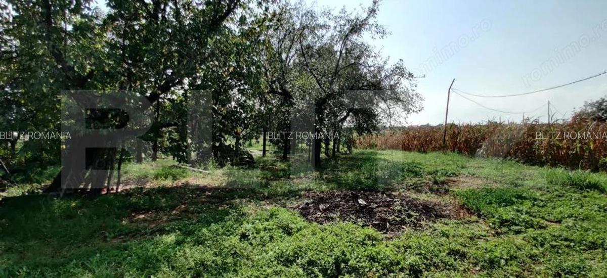 Casa mare cu gospodarie completa Belin?, jude?ul Timi? teren 4.900 mp - 15