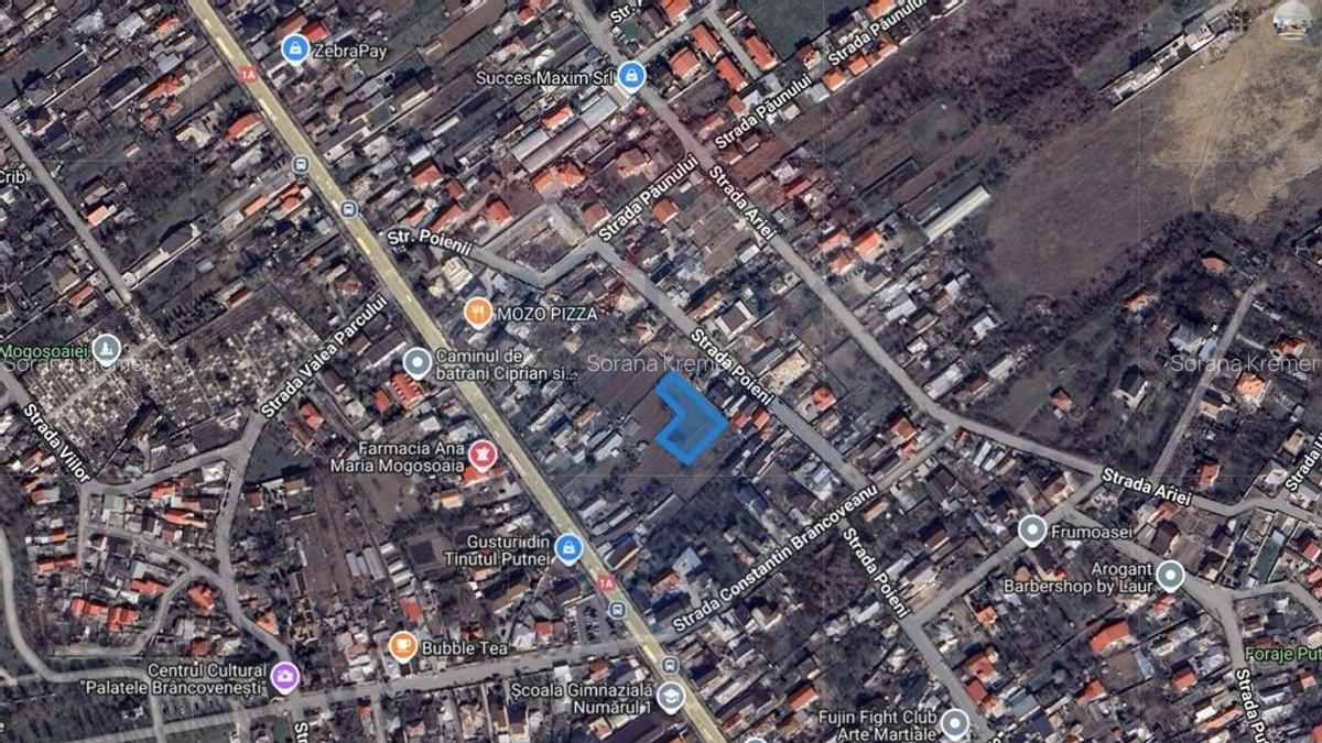 Teren intravilan generos in Mogo?oaia, zona reziden?i... - 3