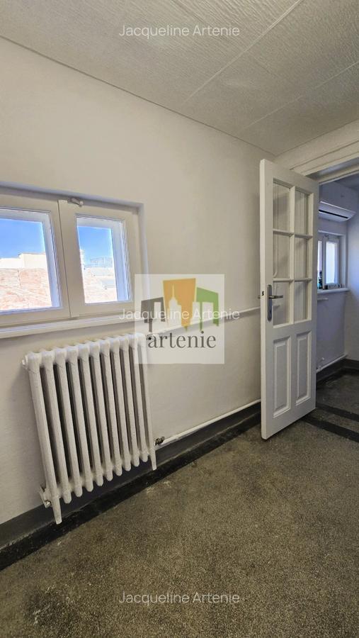 Pache Protopopescu - Plantelor apartament in vila - 7