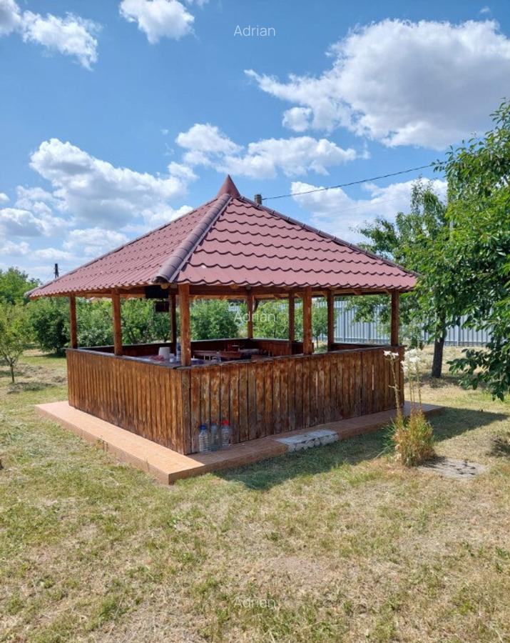 Vand casa cu livada in satul Ionesti Arges - 4