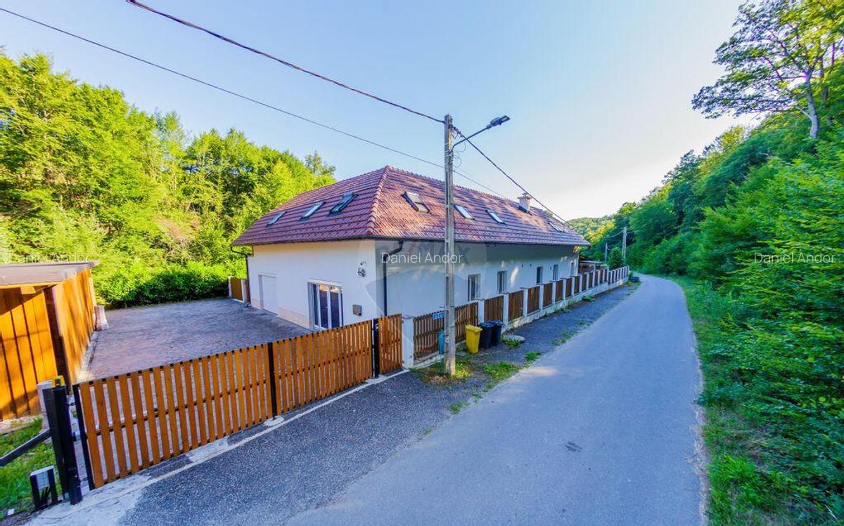 Casa de vis in Loc. Intrerauri - 2