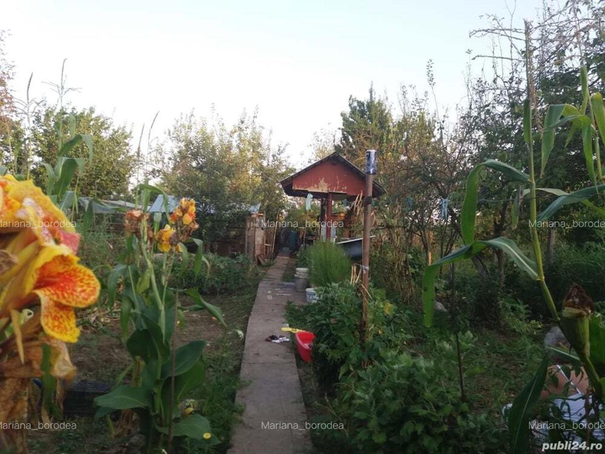 Vand urgent casa de vacanta o camera cu pod in Ghizdaru - 2