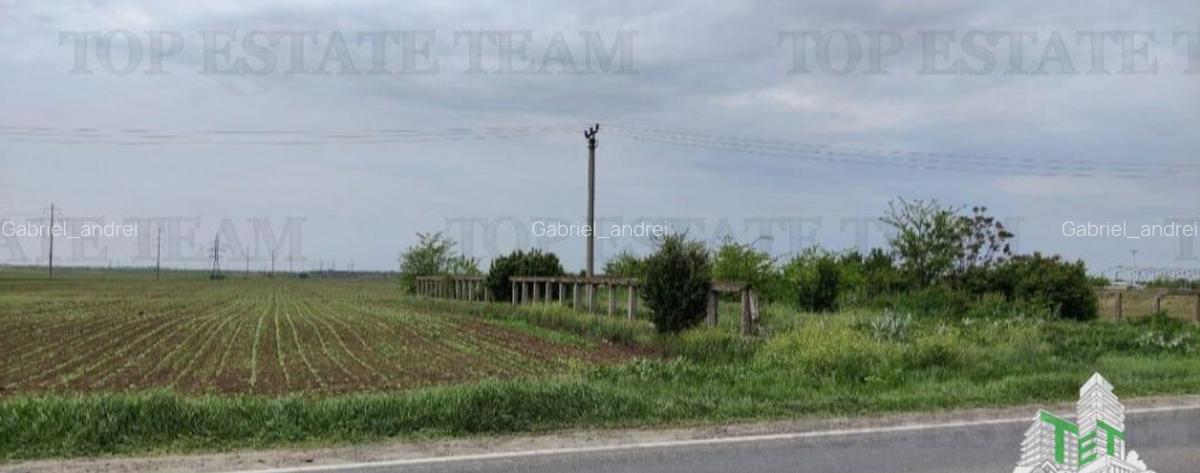 Teren intravilan - - centura - Cazasu - Braila - 1