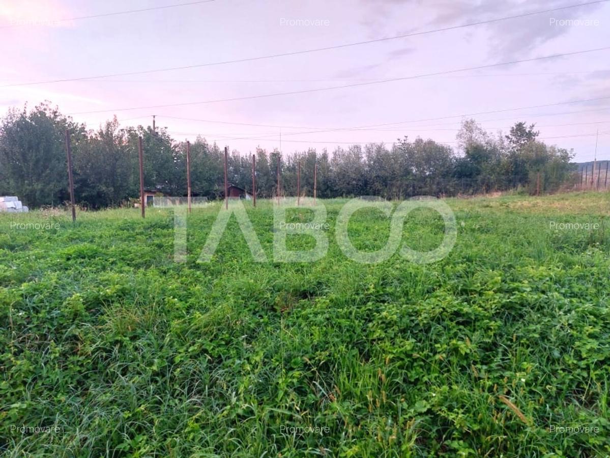 Teren intravilan 540 mp apa canalizare si curent in fata terenului - 4