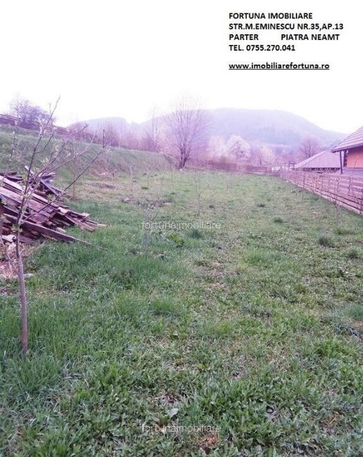Teren Alexandru cel Bun - 1