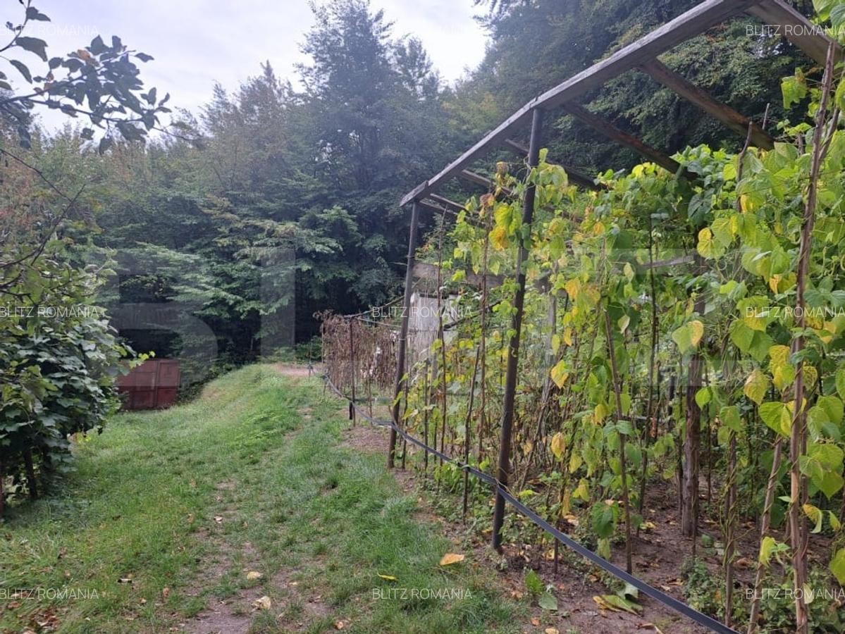 Casa de vanzare - Colonia 1 Mai 75.000 EURO - 13