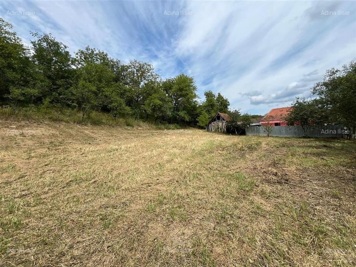 RECO Casa batraneasca cu teren generos la Lupoaia -Holod - 18