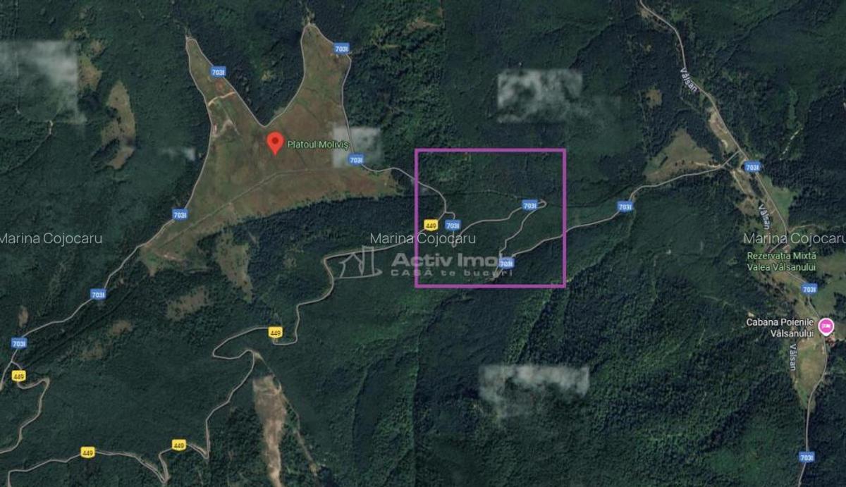Teren 7 ha, Lac Vidraru, Podis Molivis - 6