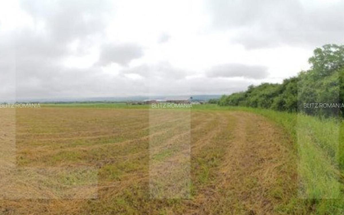 Teren Extravilan de vanzare in Garbova !!! COMISION 0% !!! - 2 Teren Extravilan de vanzare in Garbova !!! COMISION 0% !!! - 2