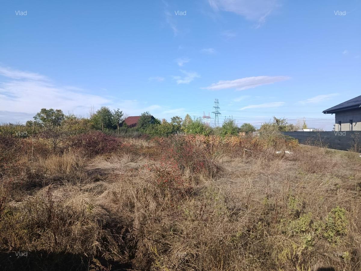 Teren de vânzare – Cornetu, str. Școlii 38 m dechidere 2973 mp - 8 Teren de vânzare – Cornetu, str. Școlii 38 m dechidere 2973 mp - 8