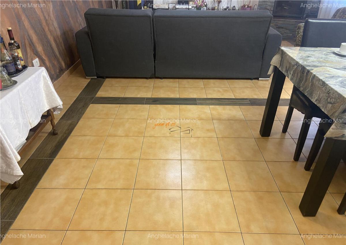 Casa de vanzate in Campineanca , parter etaj, 360 mp utili , - 16