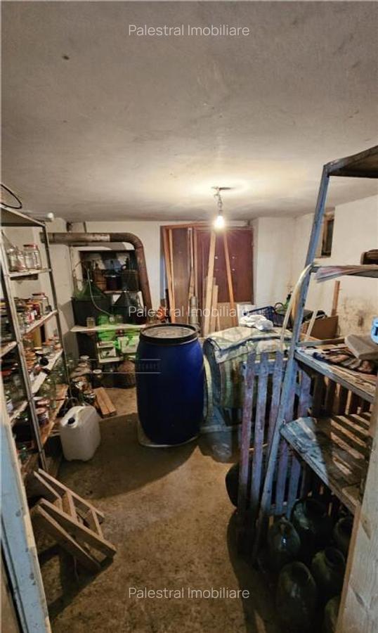 CASA HARMAN SINGUR CURTE 220000 EURO - 12
