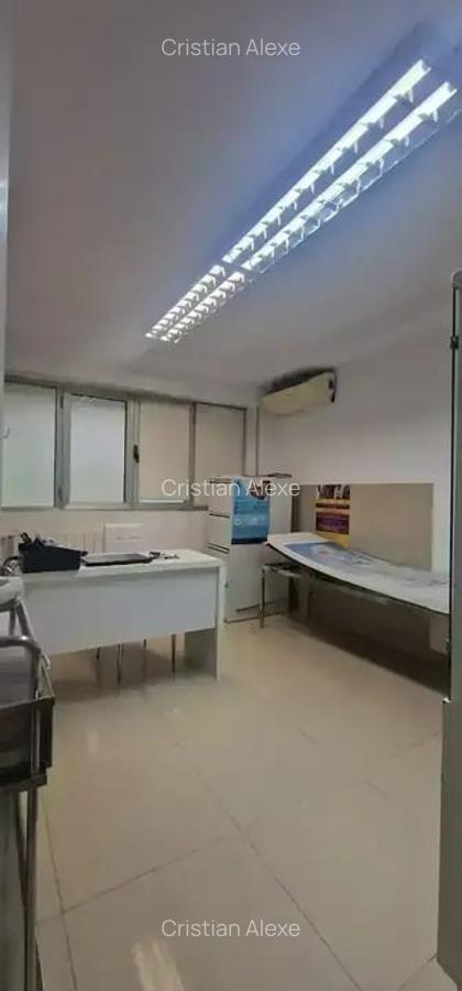 Spatiu Comercial Teiul Doamnei - Sos. Colentina Disponibil imediat - 13