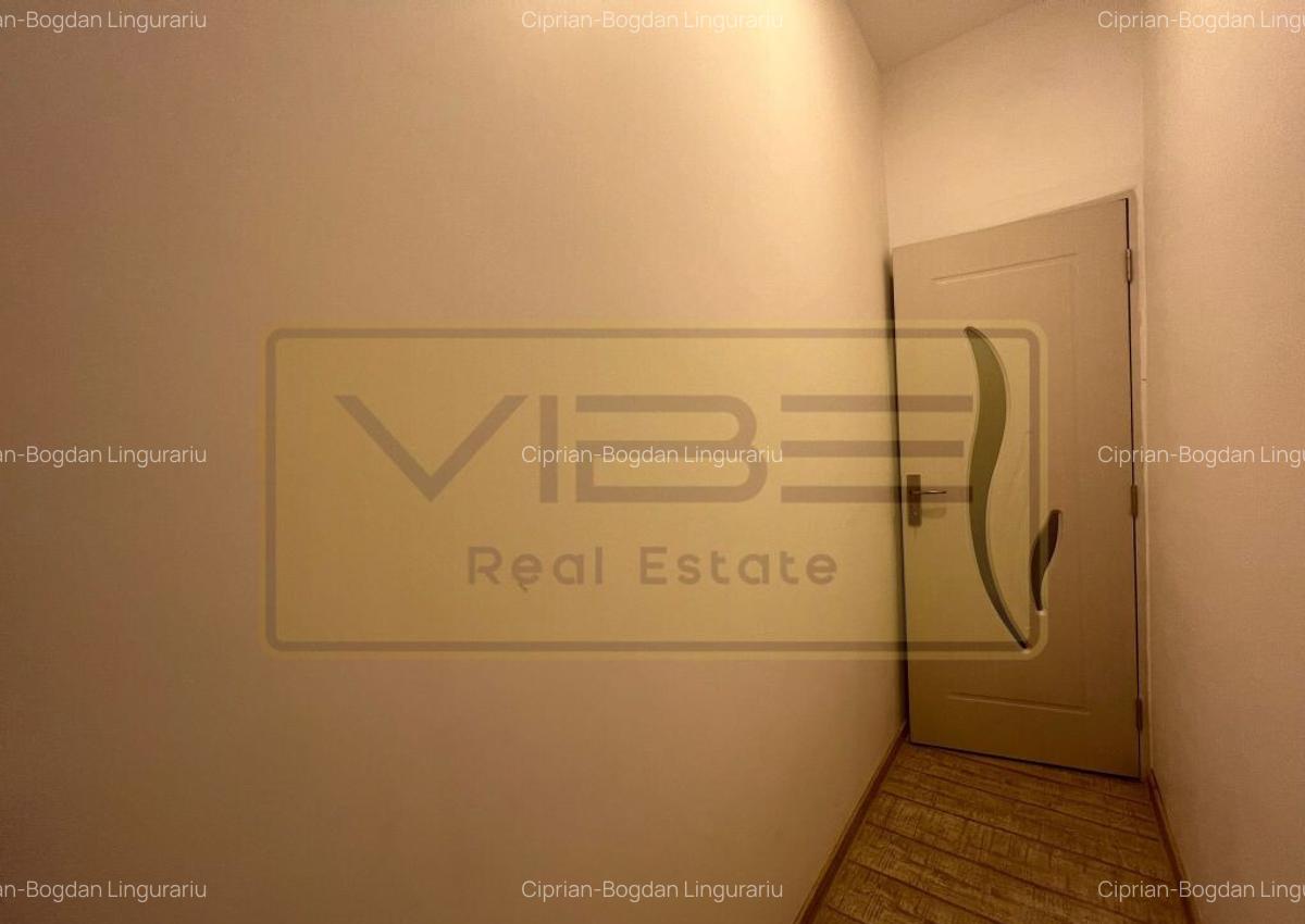 Spatiu de birou/comercial Bd. Independentei - Spiridon - 11