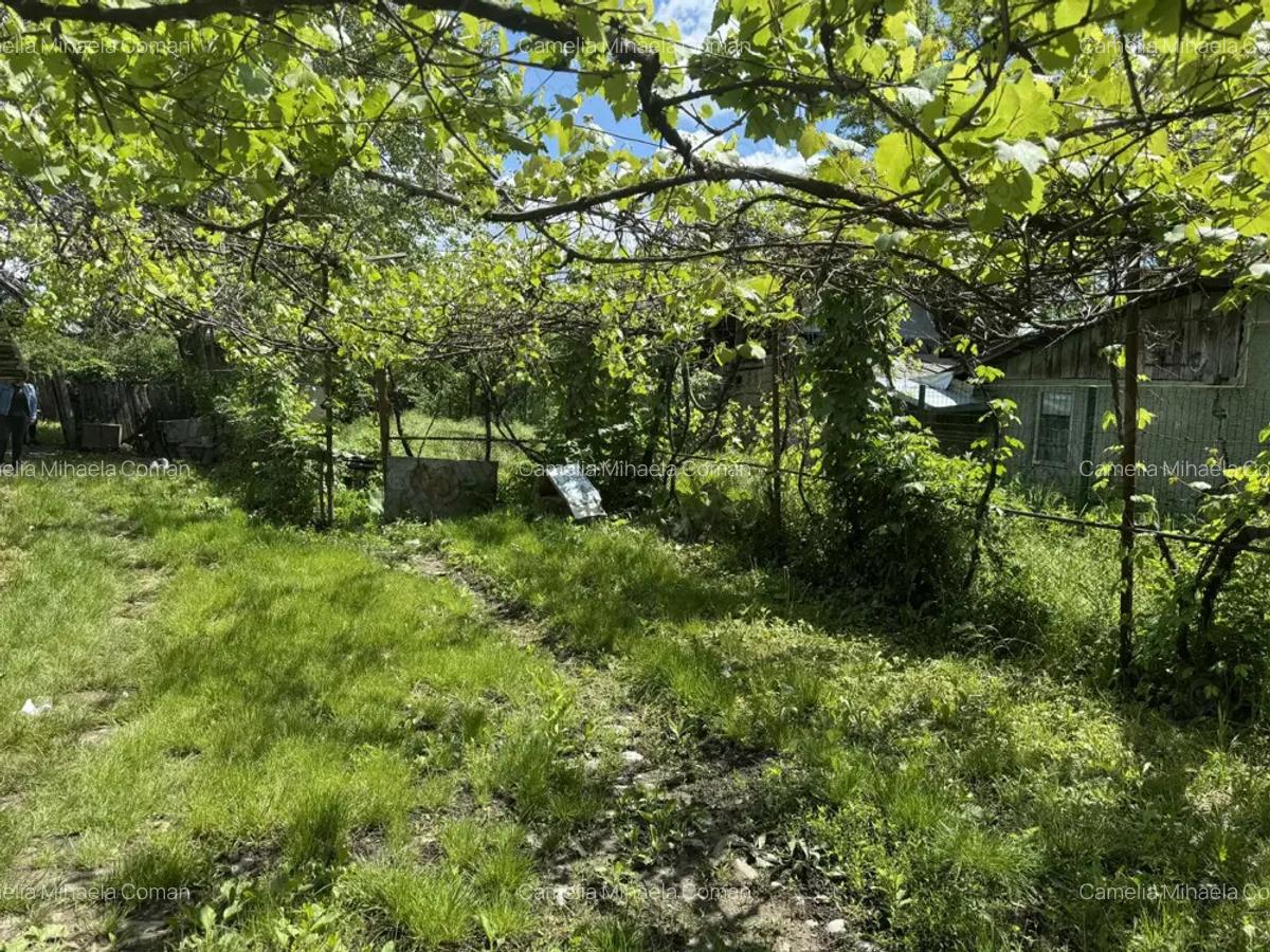 Casa de vanzare! - 7