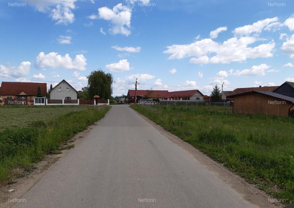 Teren intravilan 5000 mp construibi rezidential Lunca Calnicului - 1