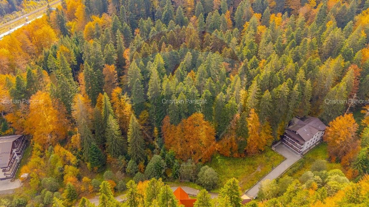 Comision 0 | Teren intravilan de vanzare - Predeal, Brasov 908 mp - 8 Comision 0 | Teren intravilan de vanzare - Predeal, Brasov 908 mp - 8