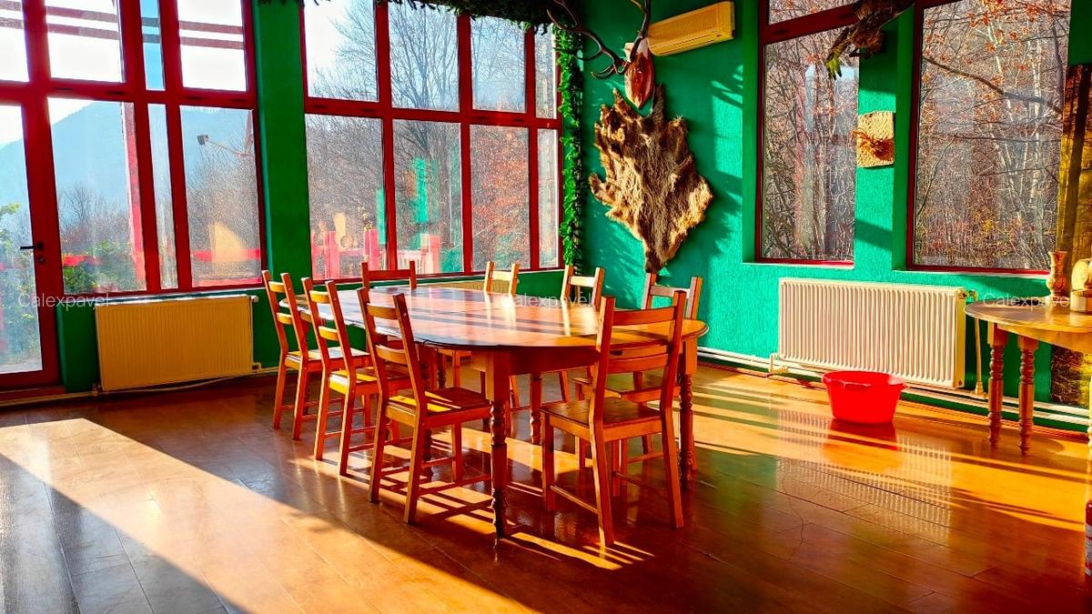 Casa de Vacanta / Cabana / Vila / Pensiune / Lepsa Vrancea -Munte - 13